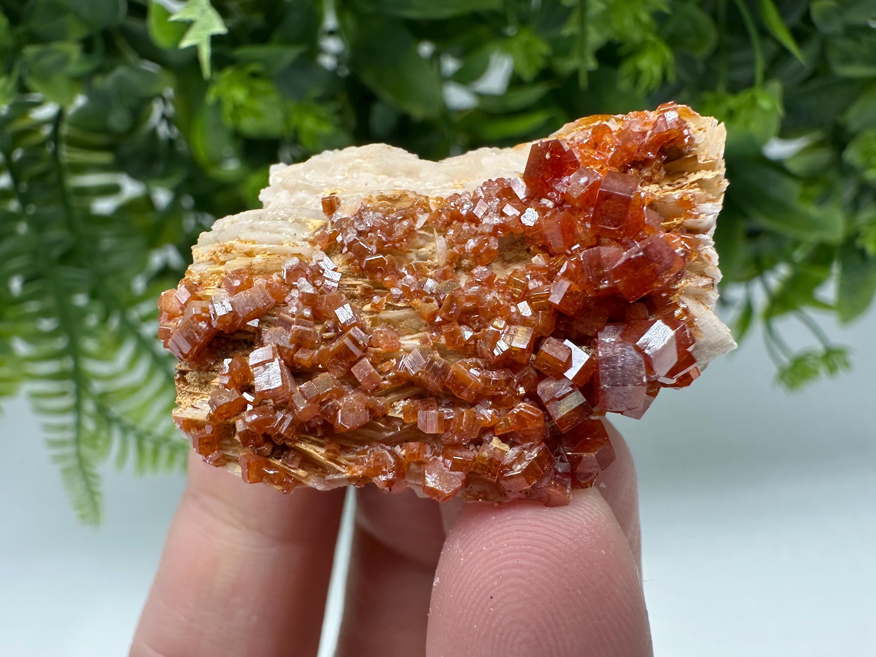 Red Vanadinite Crystal Cluster on Barite Matrix from Morocco