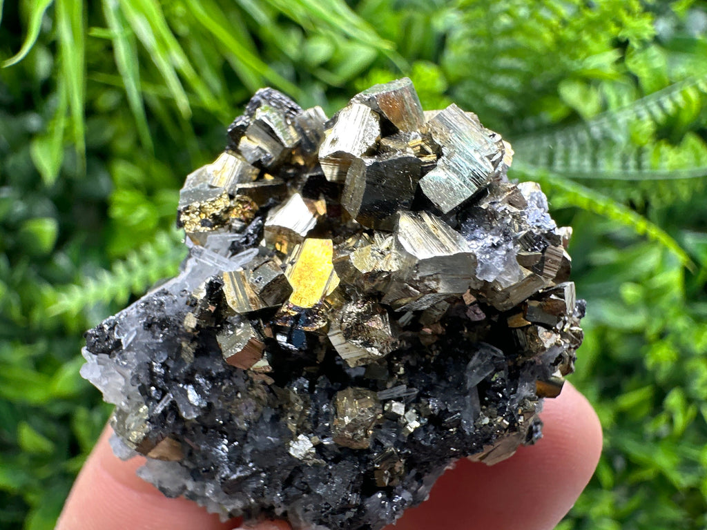 Rainbow Pyrite on Sphalerite & Quartz, Borieva Mine, Bulgaria