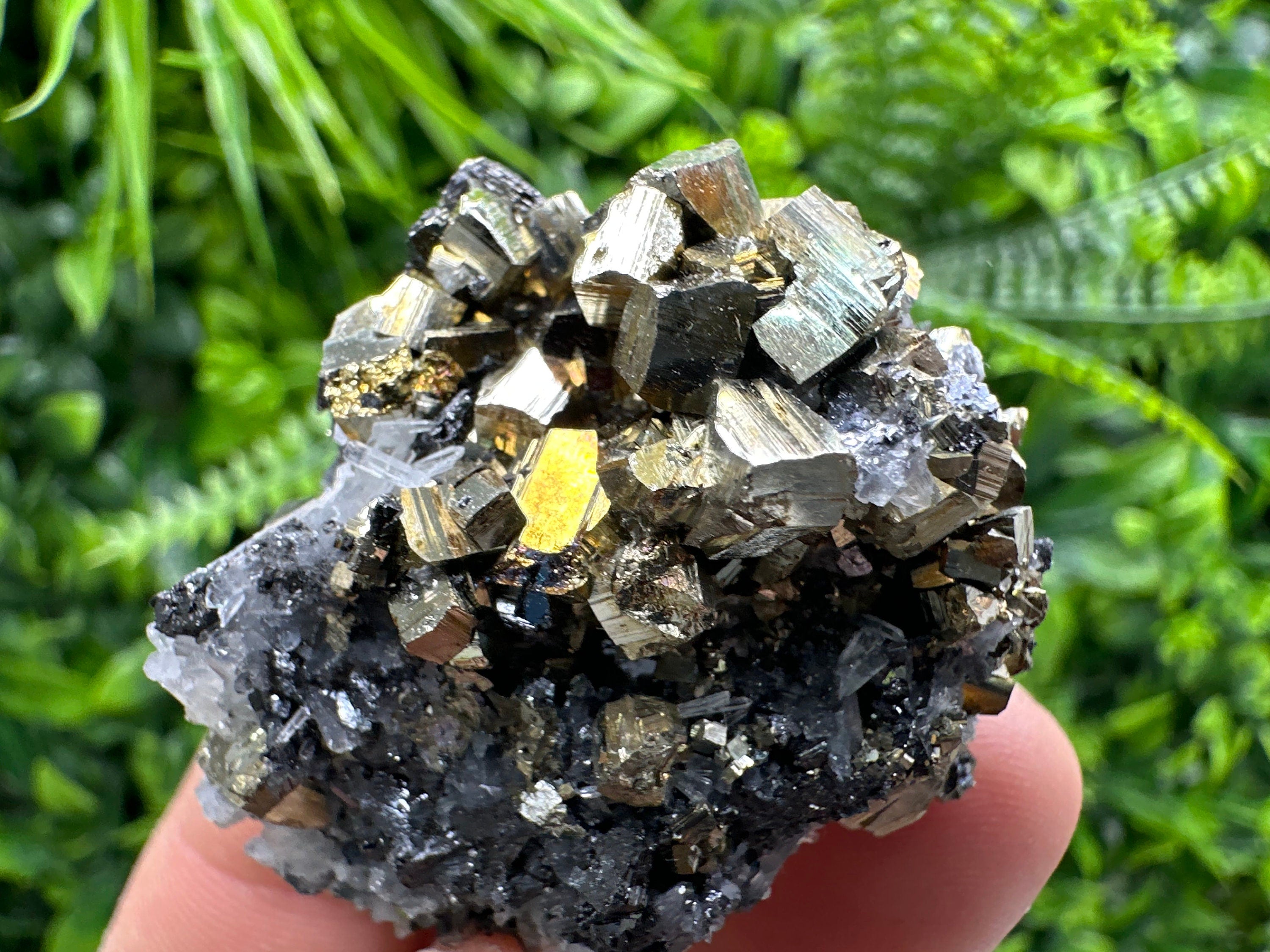 Rainbow Pyrite on Sphalerite & Quartz, Borieva Mine, Bulgaria