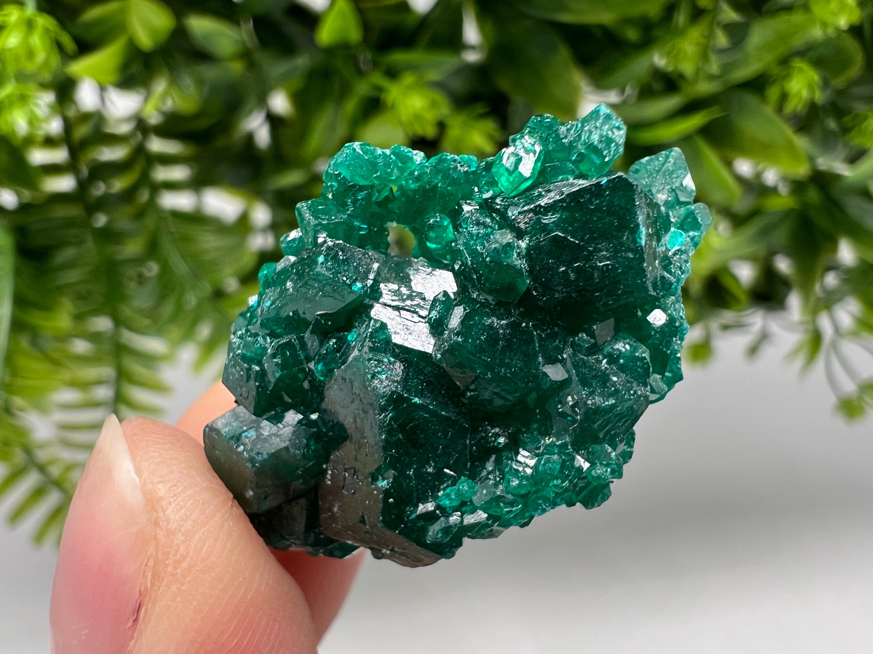 Green Dioptase Crystal, Congo Mineral Specimen, Collecting