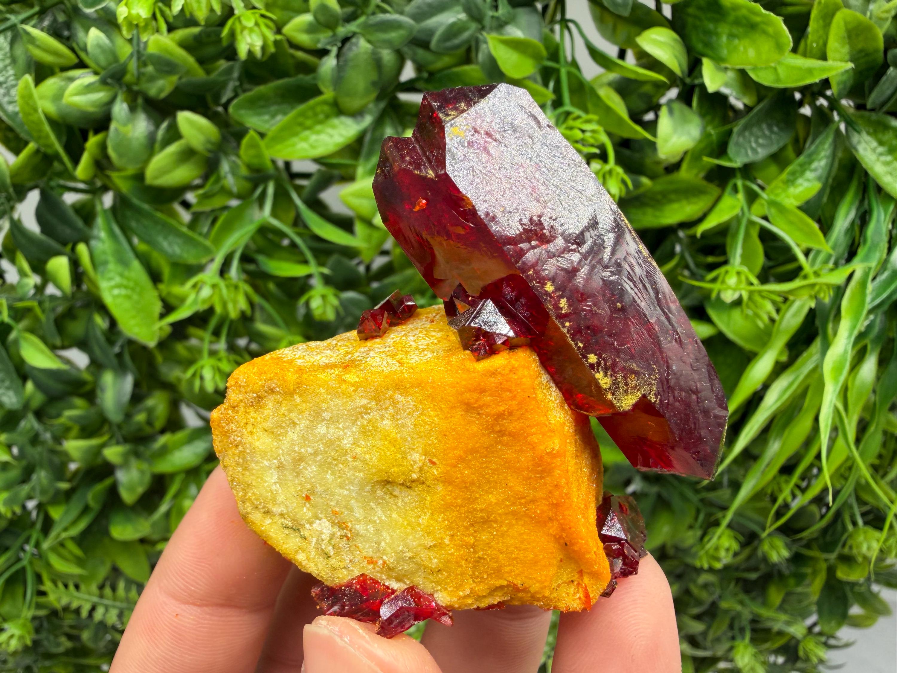 XXL Laboratory Pruskite Ruby Crystal on Matrix