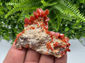 Red Vanadinite on Barite from Marocco,crystal minerals Speciment cluster Vanadinite crystal Vanadinite Geology Vanadinite cluster minerals