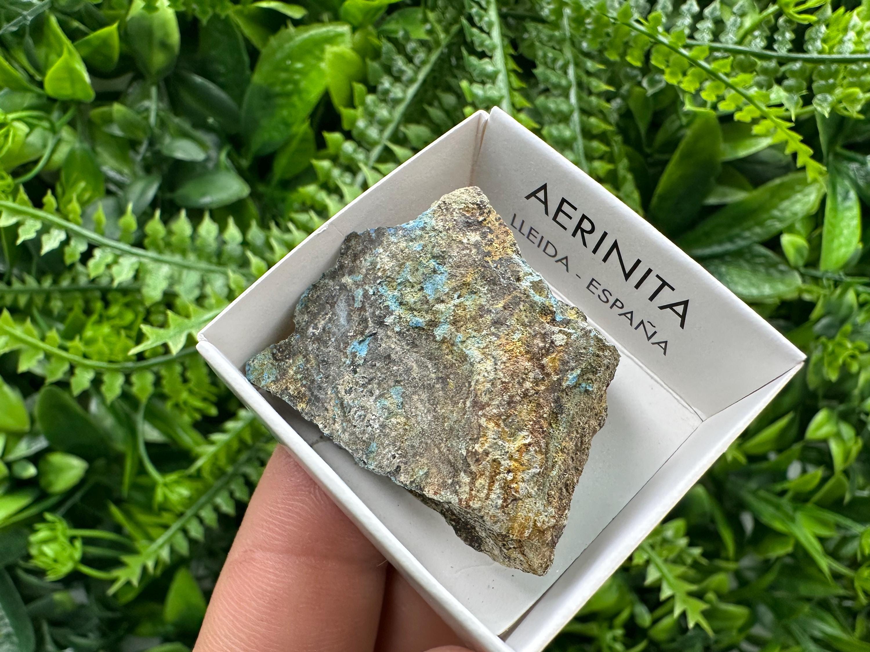 Rare Raw Aerinite Mineral Specimen, Lleida Spain Crystal