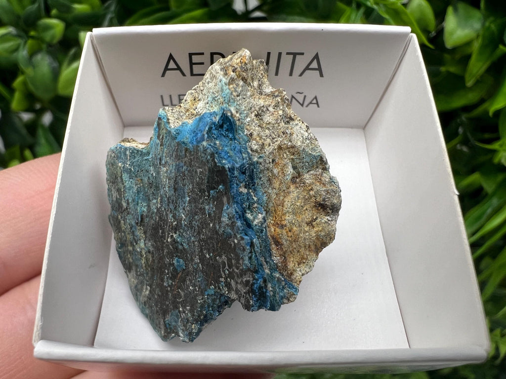 Rare Raw Aerinite Mineral Specimen: Lleida, Spain Collection Crystal