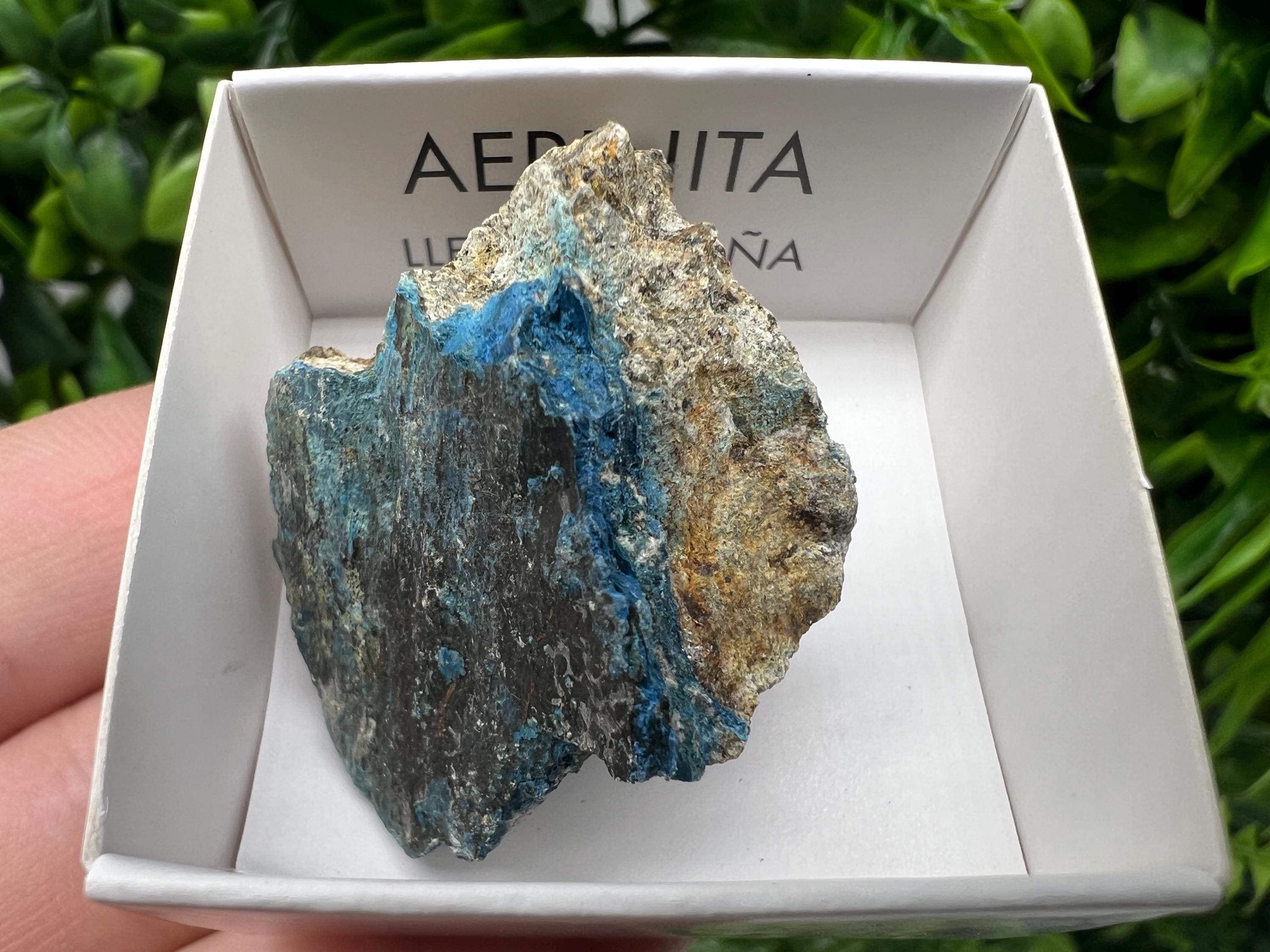 Rare Raw Aerinite Mineral Specimen: Lleida, Spain Collection Crystal