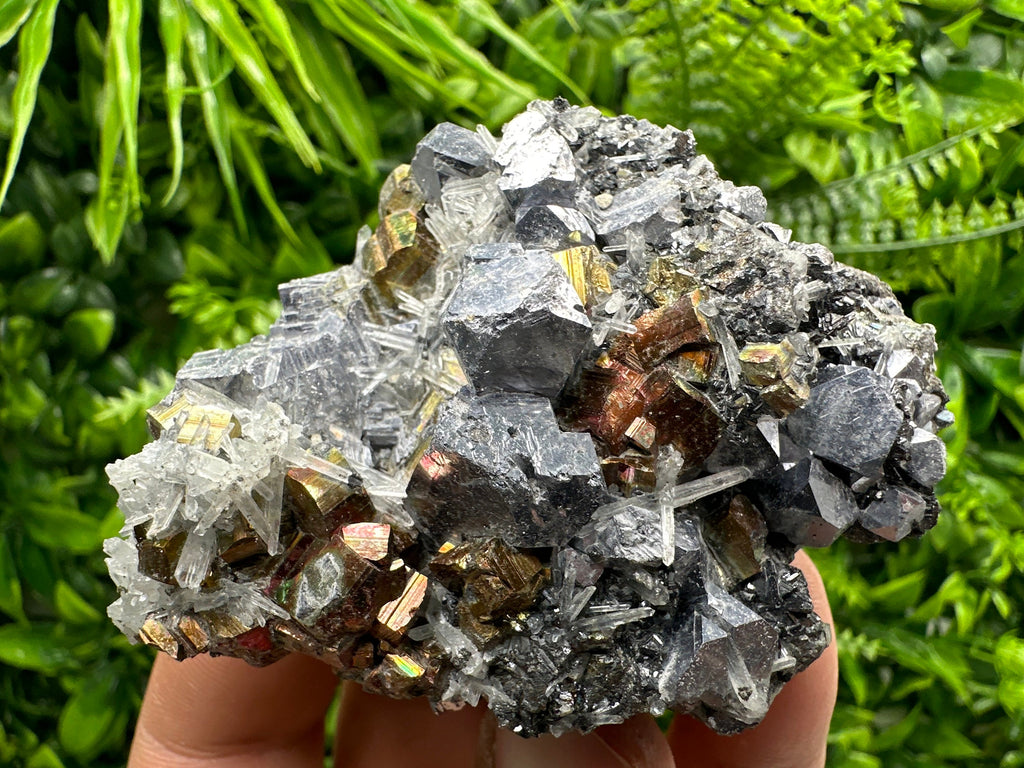 Red Pyrite, Galena, Sphalerite & Quartz Crystal Cluster - Borieva Mine