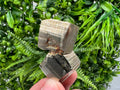 Rare Mini Pyrite Cluster: Borieva Mine, Bulgaria