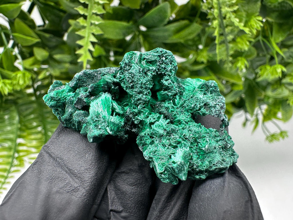 Malachite Crystal from Congo,Minerals,Crystals from Congo,Green Malachite, Malachite,Natural Malachite,Malachite Stone,Chakra, Specimens