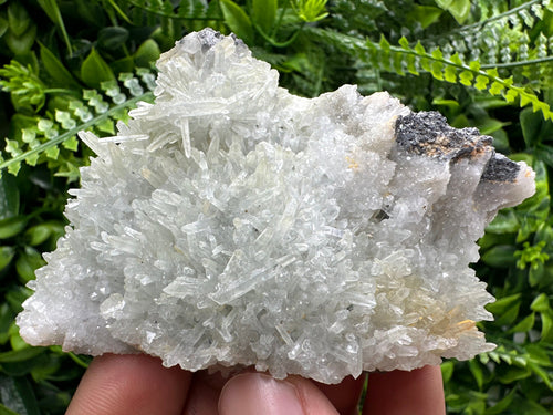 Chlorite Quartz Crystal with Hematite: Borieva Mine, Bulgaria