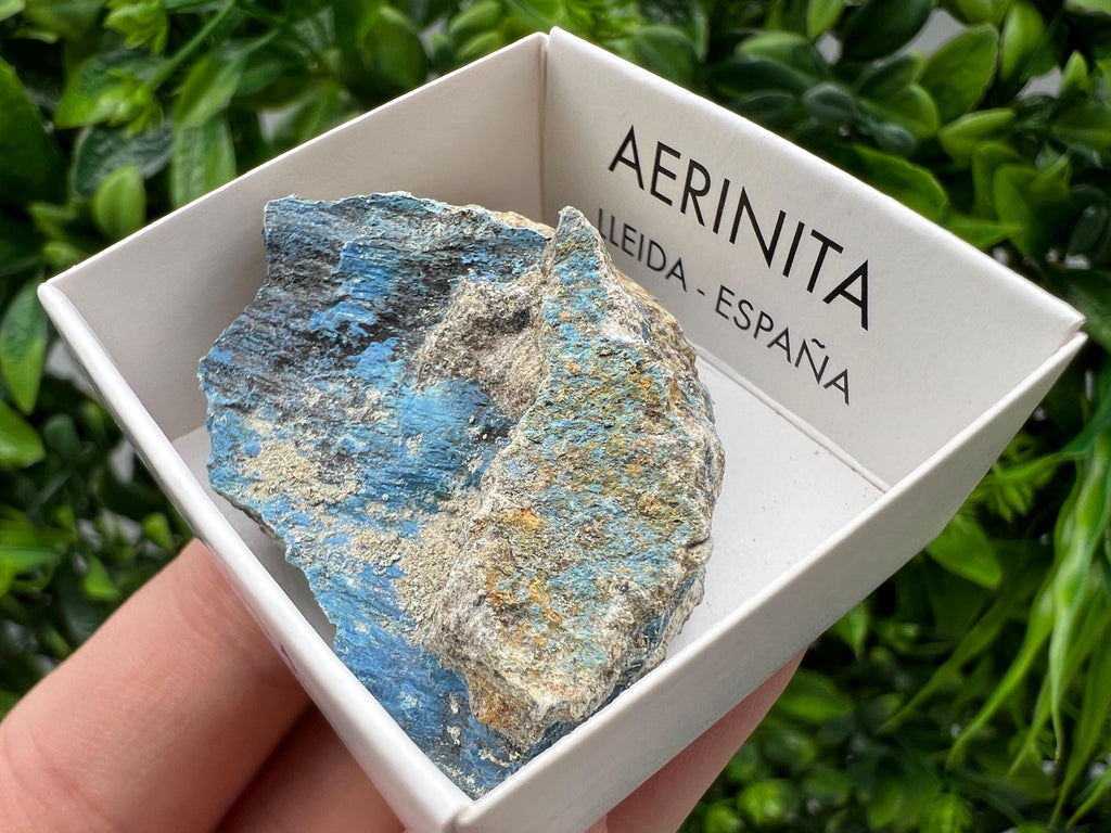 Rare Raw Aerinite Mineral Specimen: Collection Crystal from Lleida, Spain (4/3.5 CM)