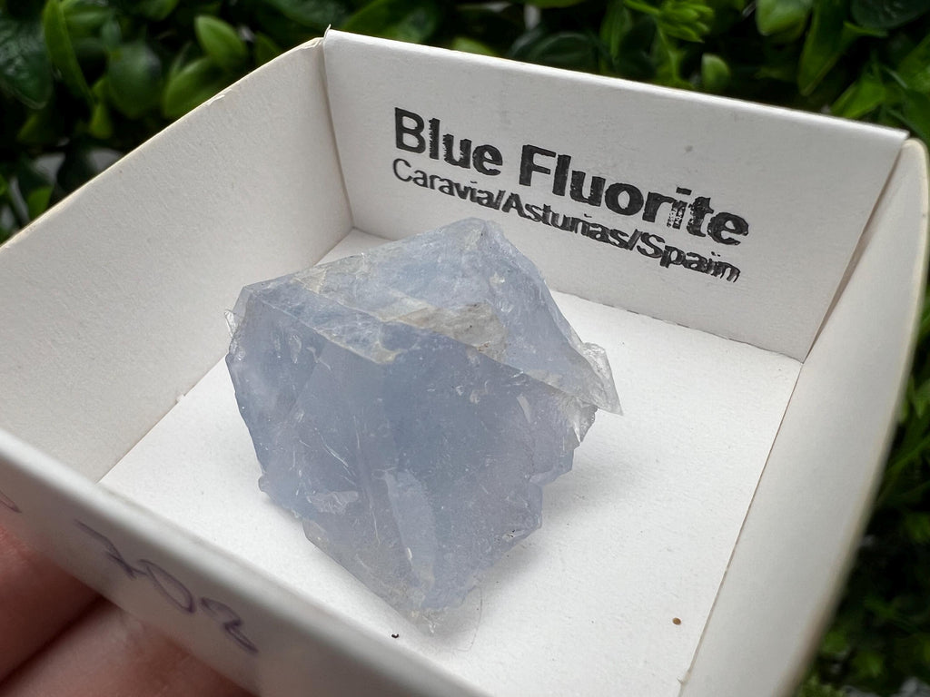 Blue Fluorite Mineral Specimen: Spain Collection (2.5/2.5 cm)