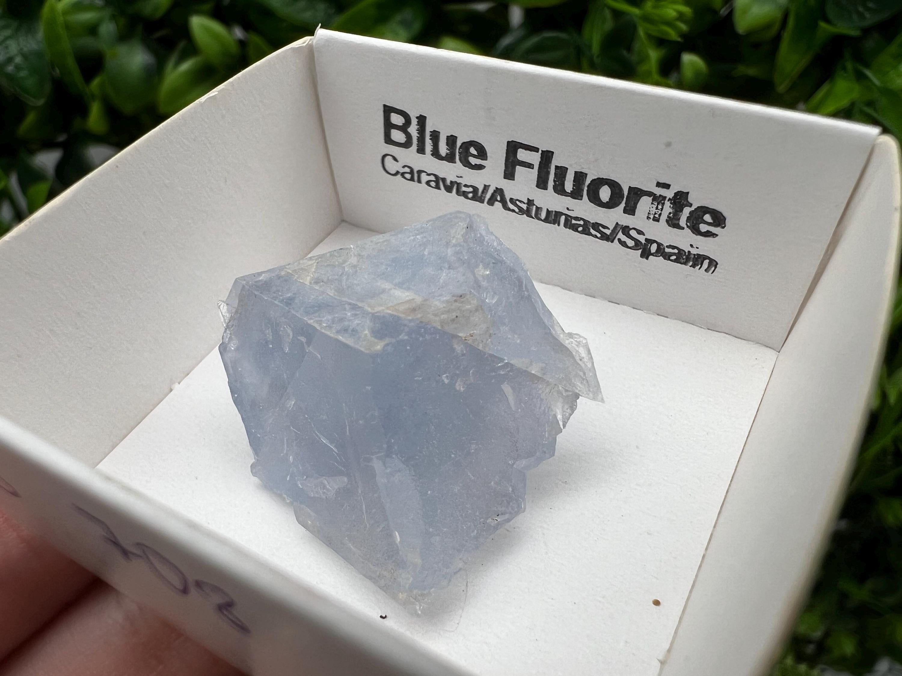 Blue Fluorite Mineral Specimen: Spain Collection (2.5/2.5 cm)