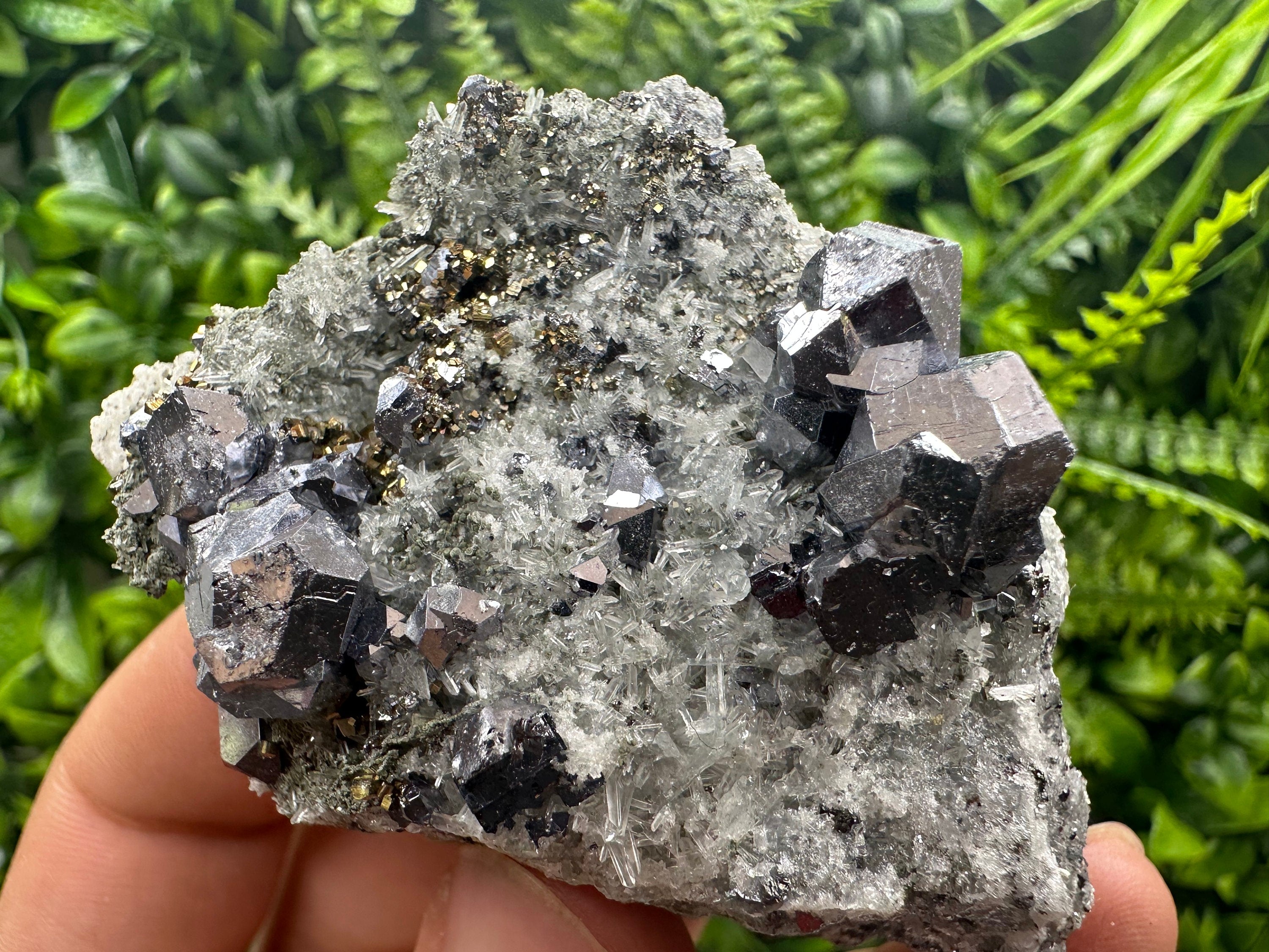 Galena Spinel Law Crystal on Quartz, Chlorite Mineral Specimen