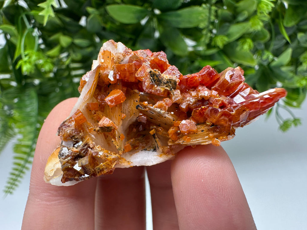 Red Vanadinite on Barite from Marocco,crystal minerals Speciment cluster Vanadinite crystal Vanadinite Geology Vanadinite cluster minerals