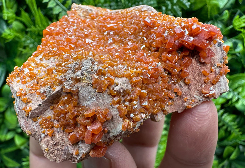 Red Vanadinite Crystal Cluster on Matrix, Morocco Mineral Specimen