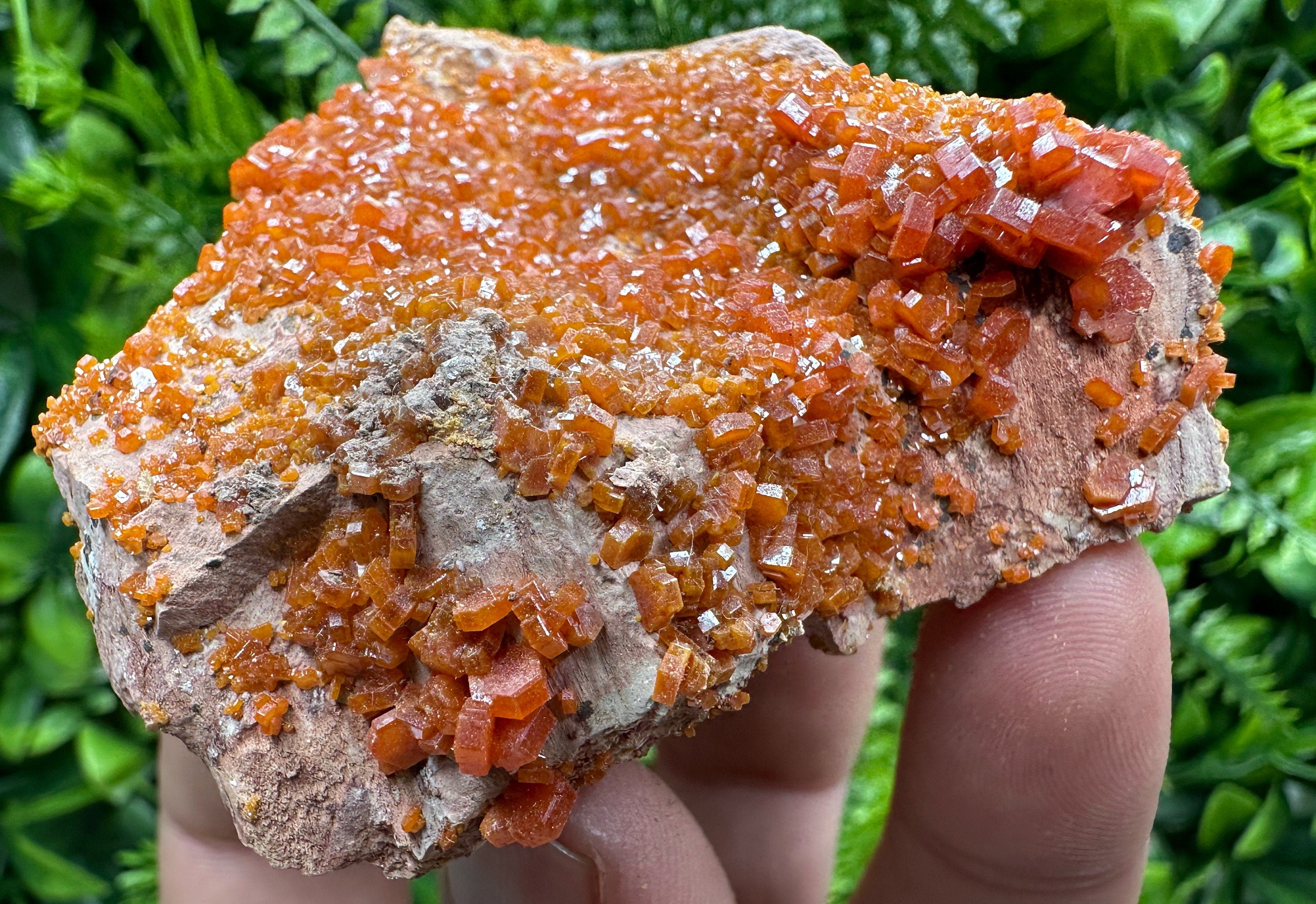 Red Vanadinite Crystal Cluster on Matrix, Morocco Mineral Specimen
