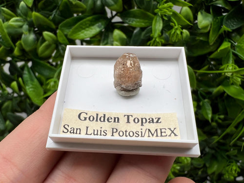 Beautiful Golden Topaz from Mexico, collection piece Crystal, Mineral, collectibles, Collectors, Natural Crystal, Minerals from Mexico, original,