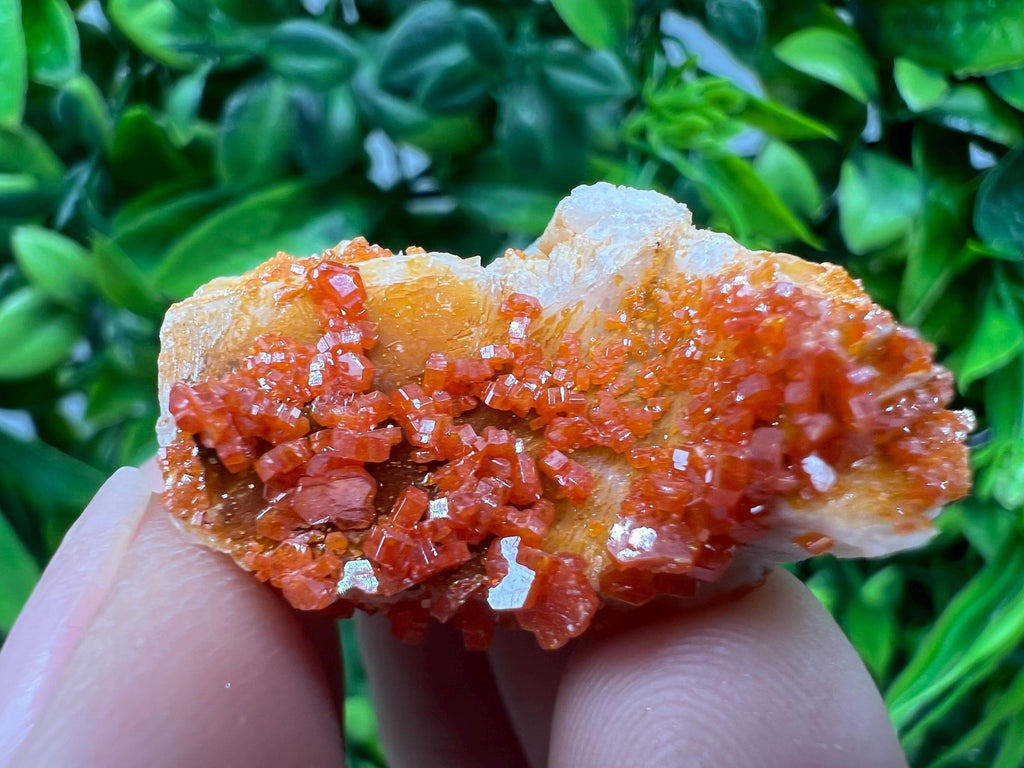 Red Vanadinite on Barite from Marocco,crystal minerals Speciment cluster Vanadinite crystal Vanadinite Geology Vanadinite cluster minerals