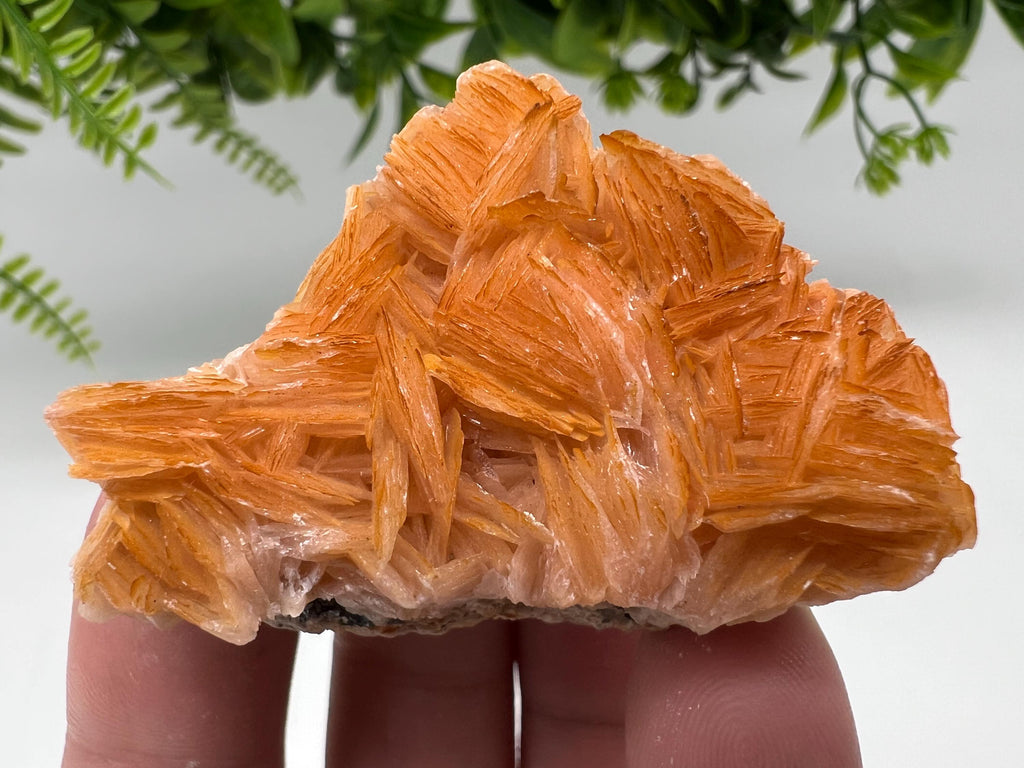 Wonderful Baryte with Cerussite on Galena from Morocco,Crystal, Mineral,Specimen,Cluster,Crystals,Barite Crystal,Cerussite Crystal,Specimen