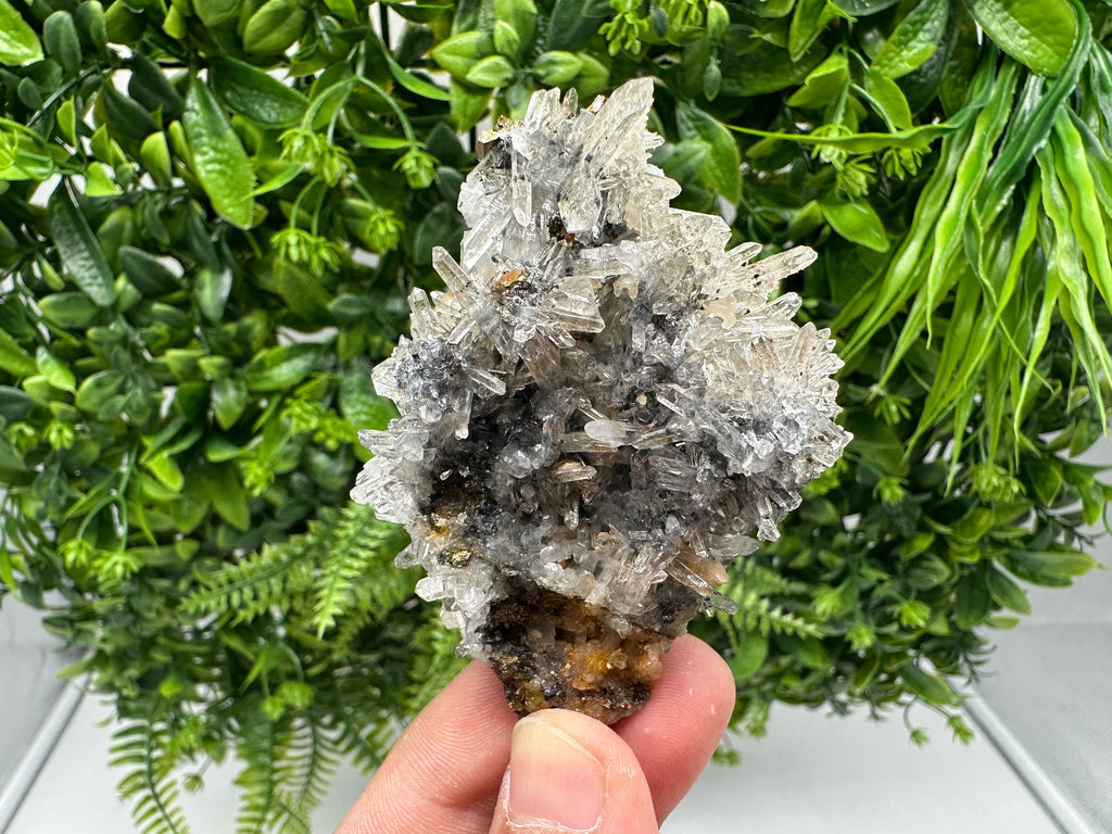 Rainbow Pyrite with Quartz: Natural Mineral Souvenir, Bulgaria