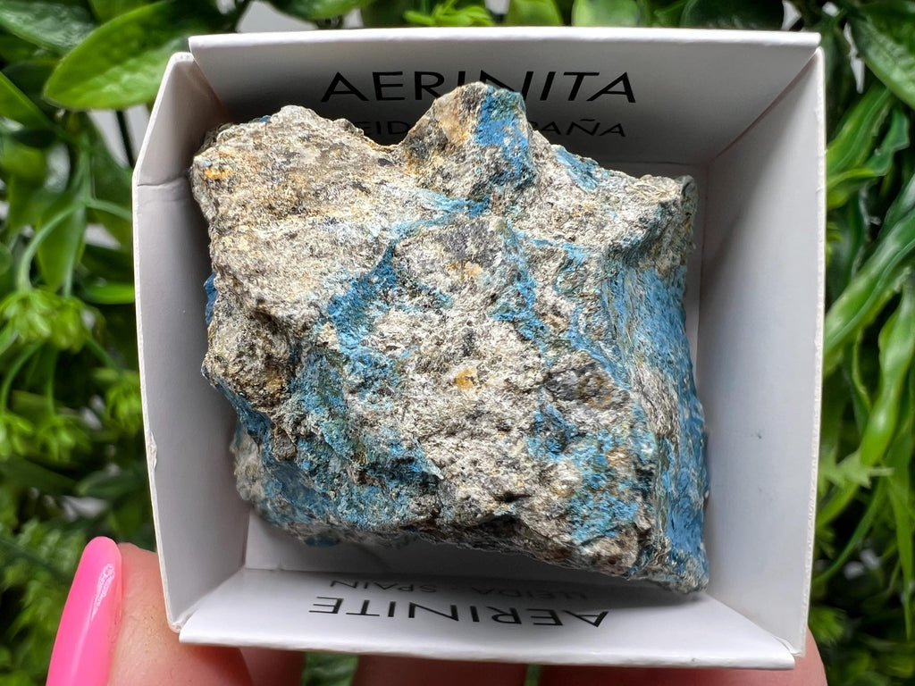 Rare Raw Aerinite Mineral Specimen: Lleida, Spain Collection Crystal