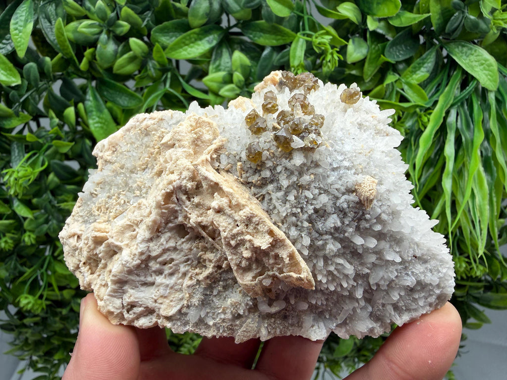 Sphalerite Cleiophane on Quartz, Krushev Dol Mine, Bulgaria