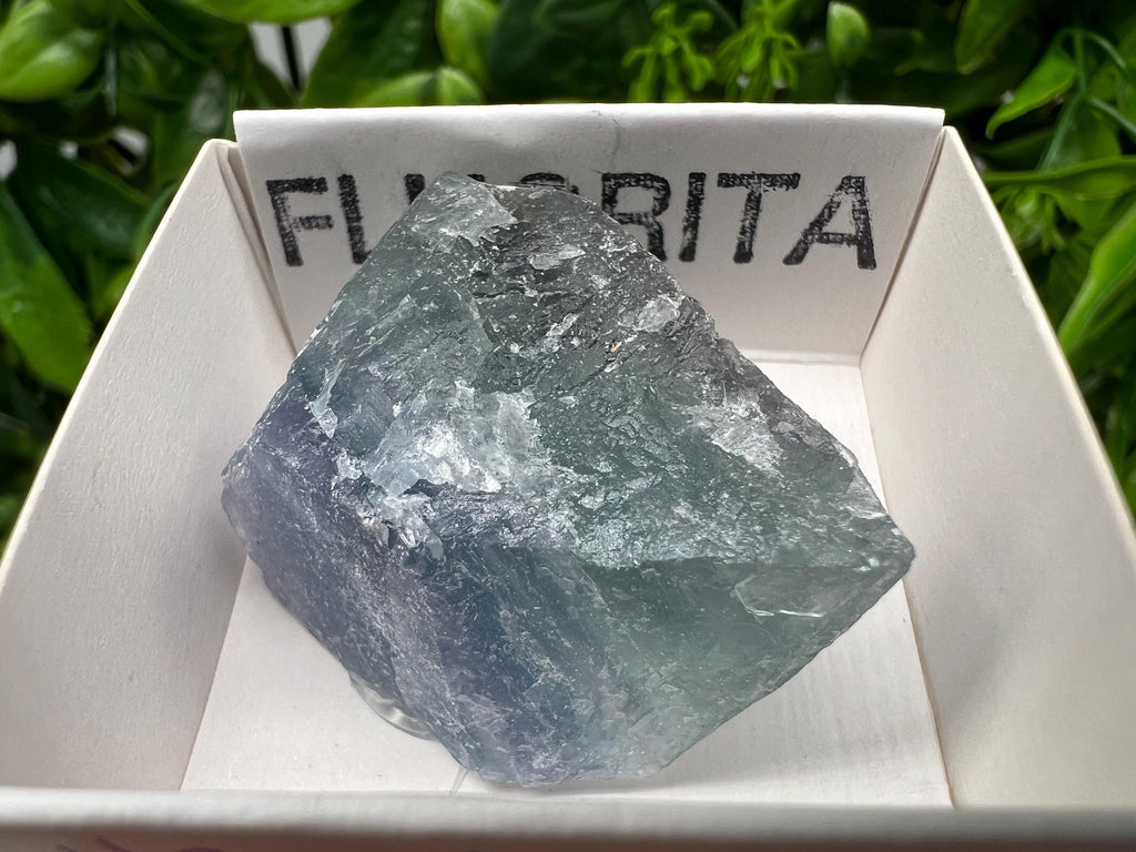 Rare Rainbow Fluorite Cube: Raw Mexican Crystal, Meditation Stone
