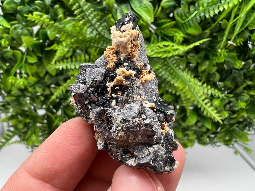 Skeletal Galena Mineral Specimen: Madan Bulgaria Collectible Stone