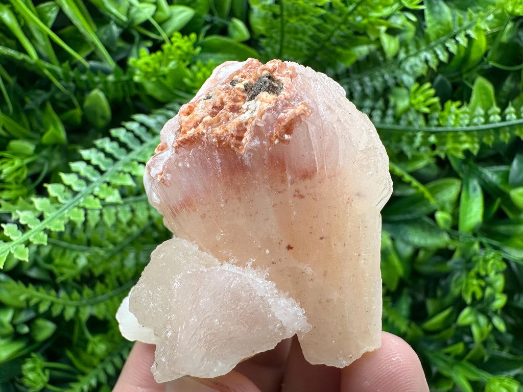 Stilbite Crystal on Matrix, India Minerals Specimen