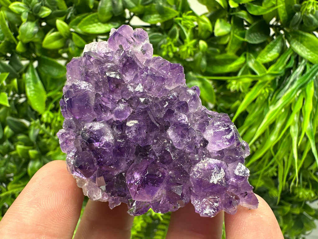 Uruguay Amethyst Cluster: Purple Quartz Crystal, Home Decor