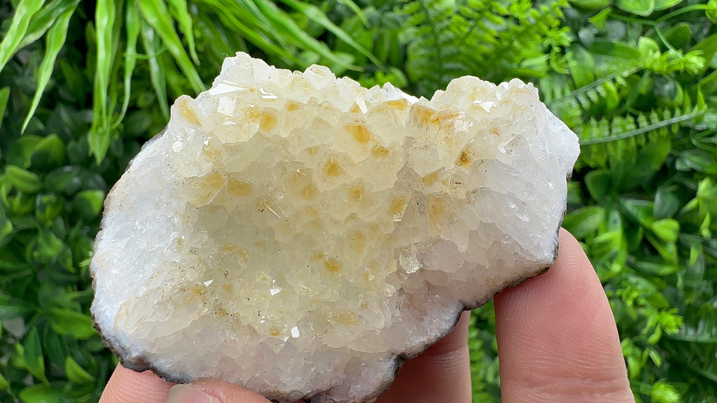 Citrine Crystal Cluster with Hematite Inclusions - Brazil