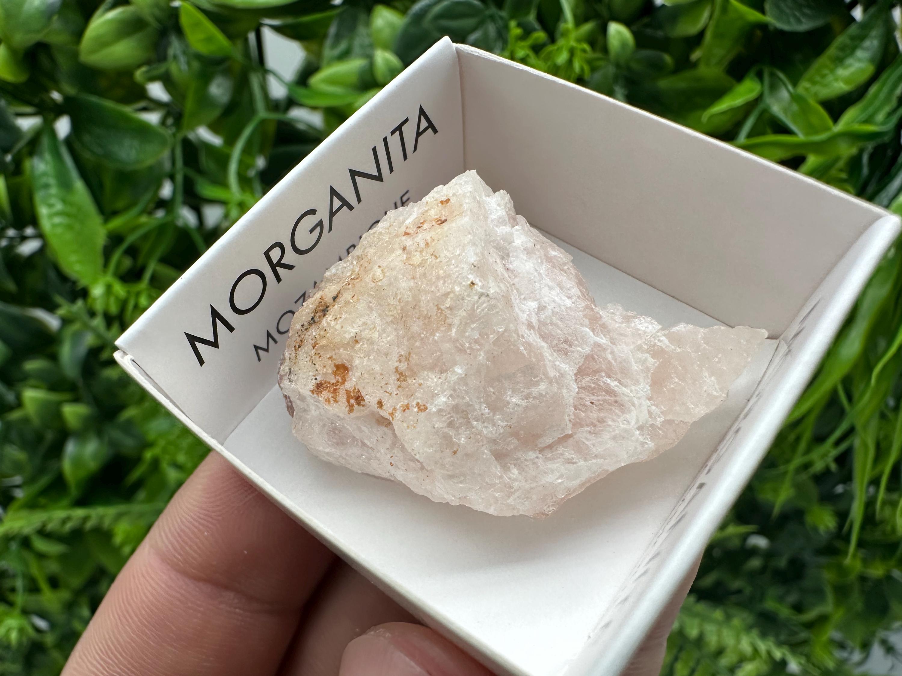 Rare Raw Morganite Specimen: Mozambique Crystal Collection (3/3.5cm)