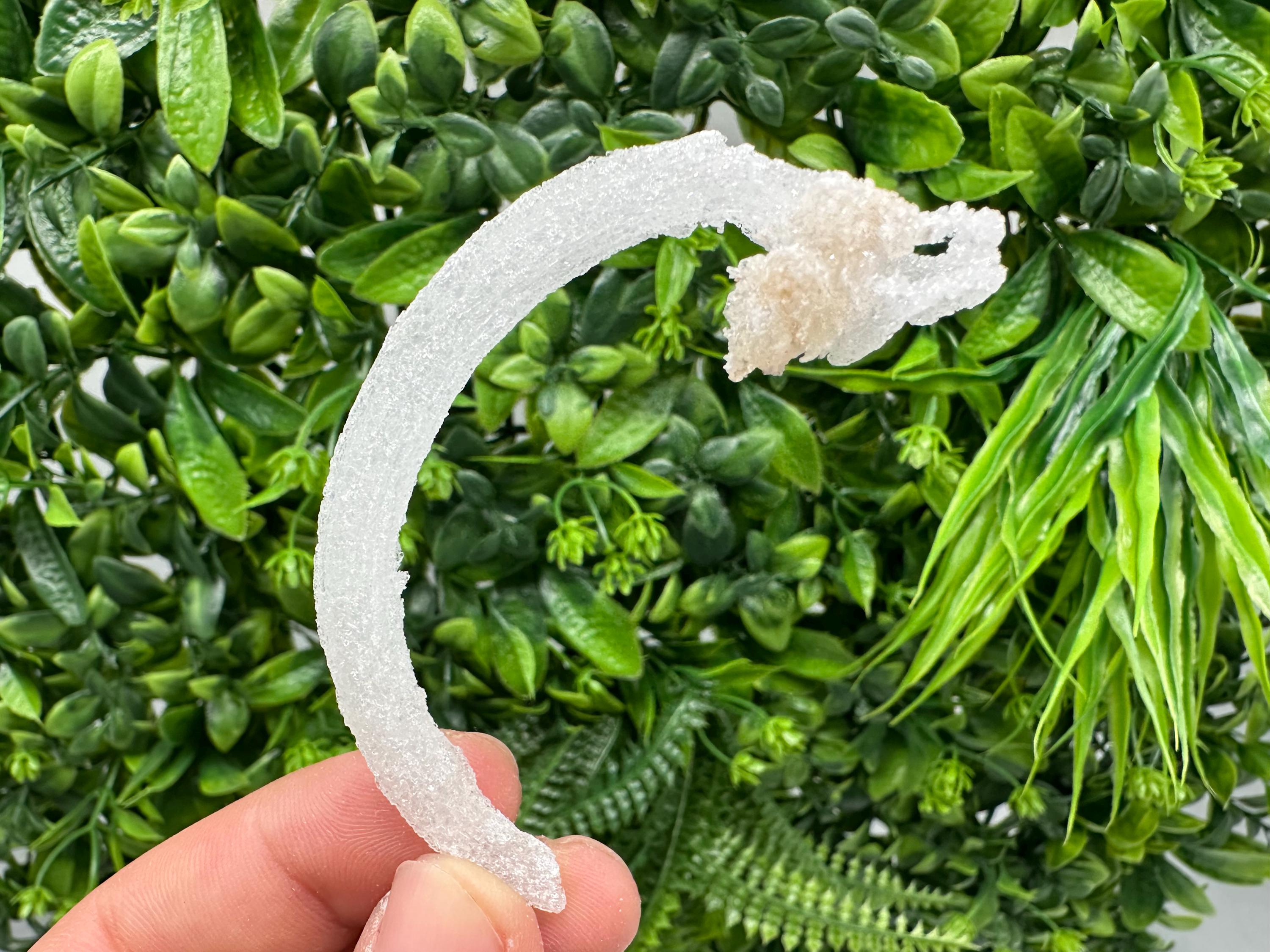 White Selenite Gypsum "Ram's Horn'' Selenite,from Guizhou,China,perfect Shape and Luster,Fluorescent Selenite Gypsum,minerals specimen,colle