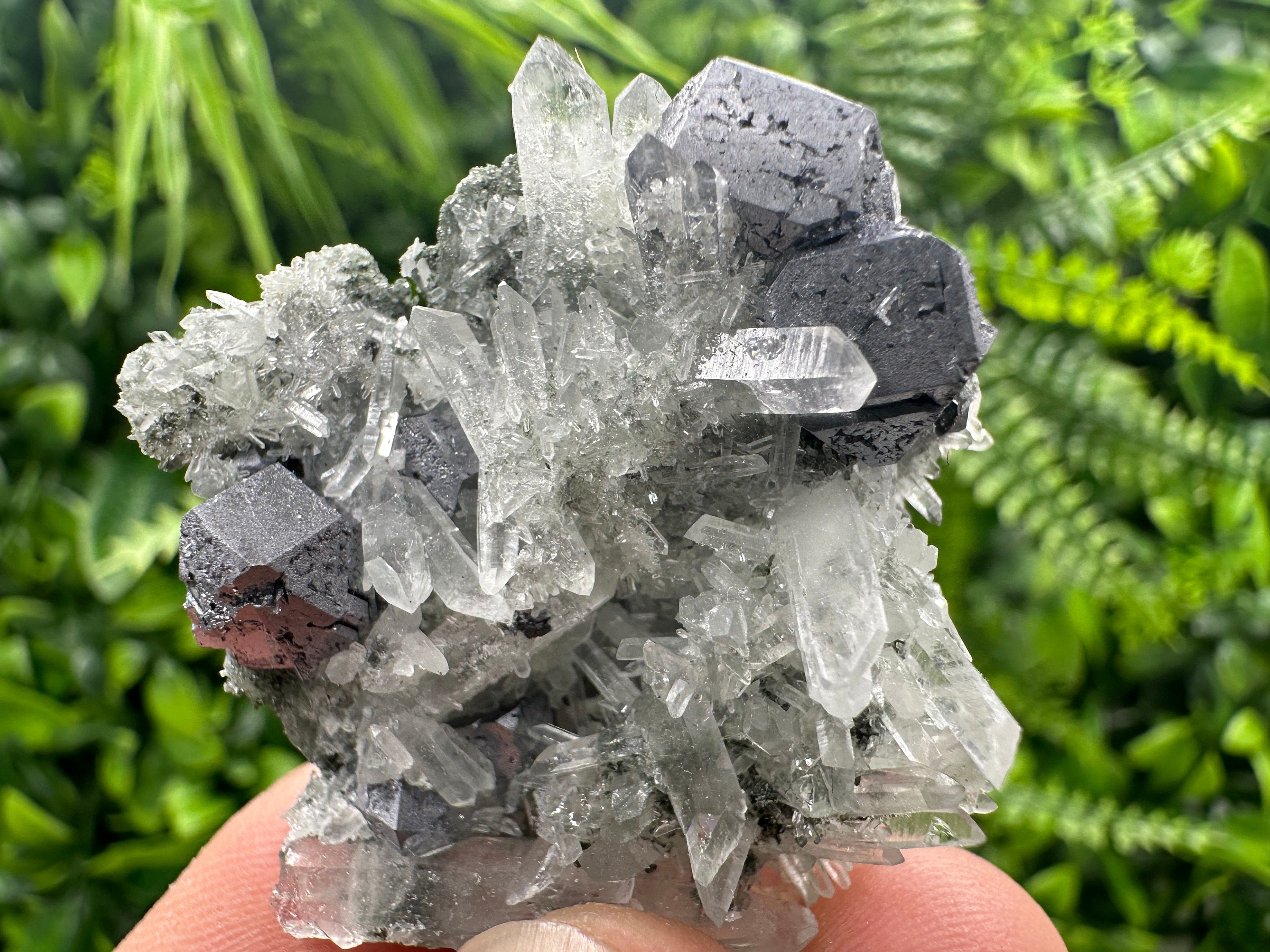 Galena on Green Quartz with Chlorite, Borieva Mine Mineral Specimen
