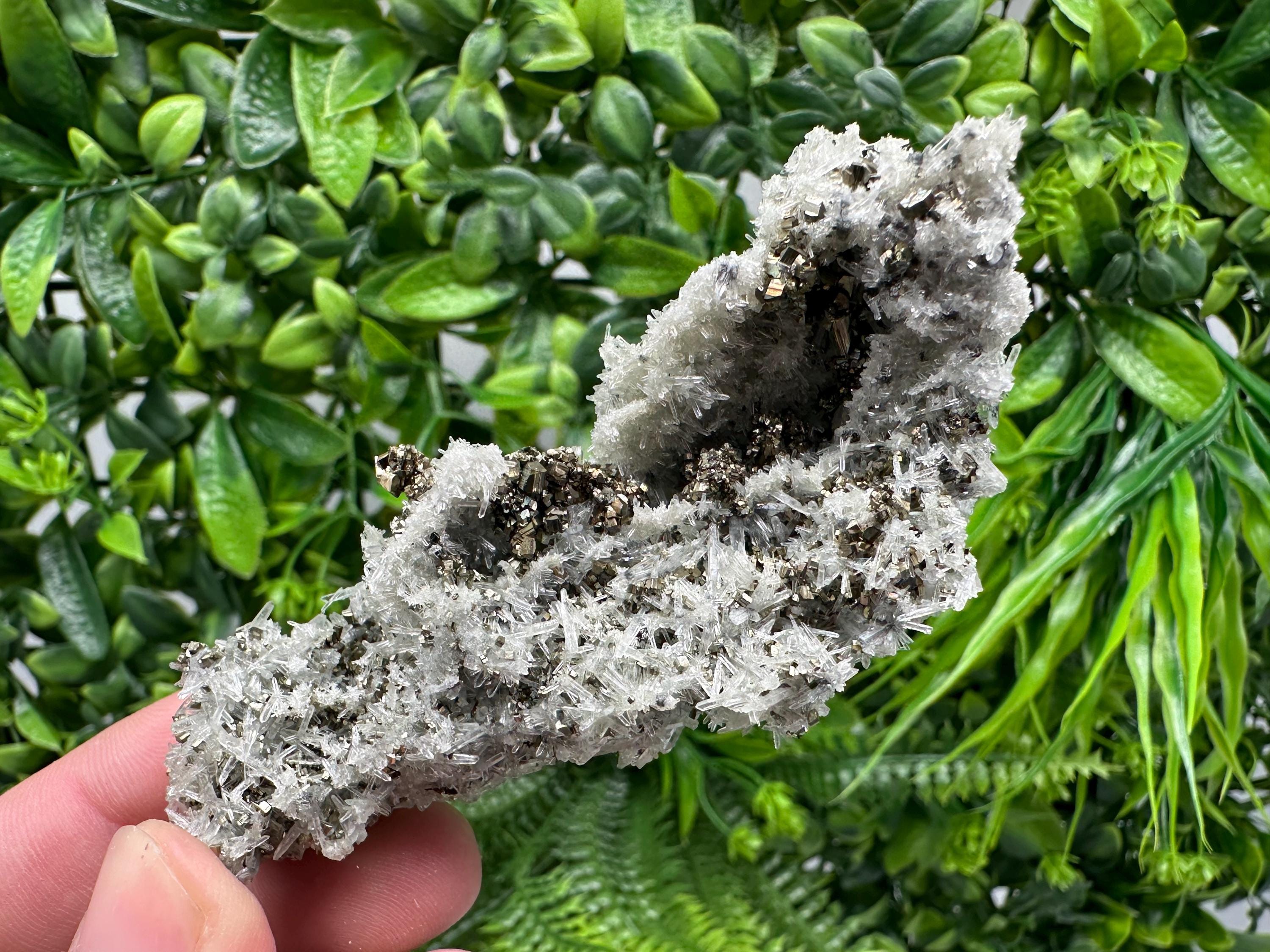 Pyrite on Needle Quartz, Madan Bulgaria, Collection Mineral Specimen