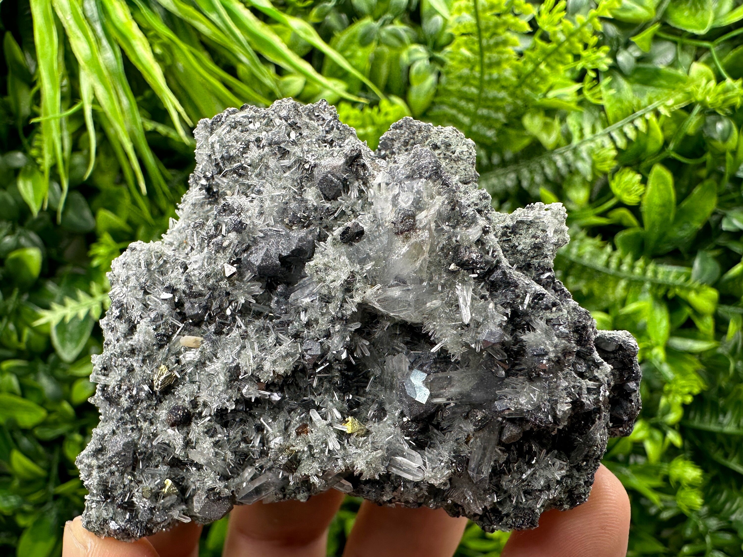 Chalcopyrite Galena on Quartz with Chlorite, Bulgaria Mineral Specimen