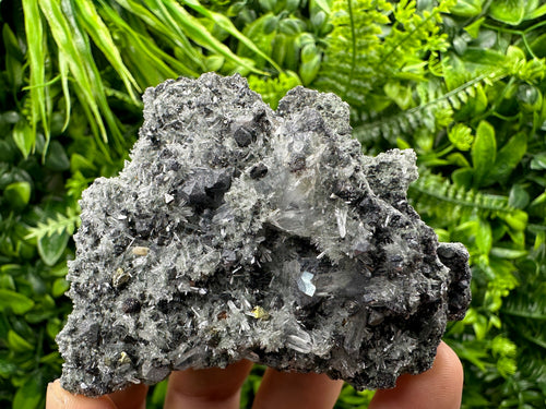 Chalcopyrite Galena on Quartz with Chlorite, Bulgaria Mineral Specimen
