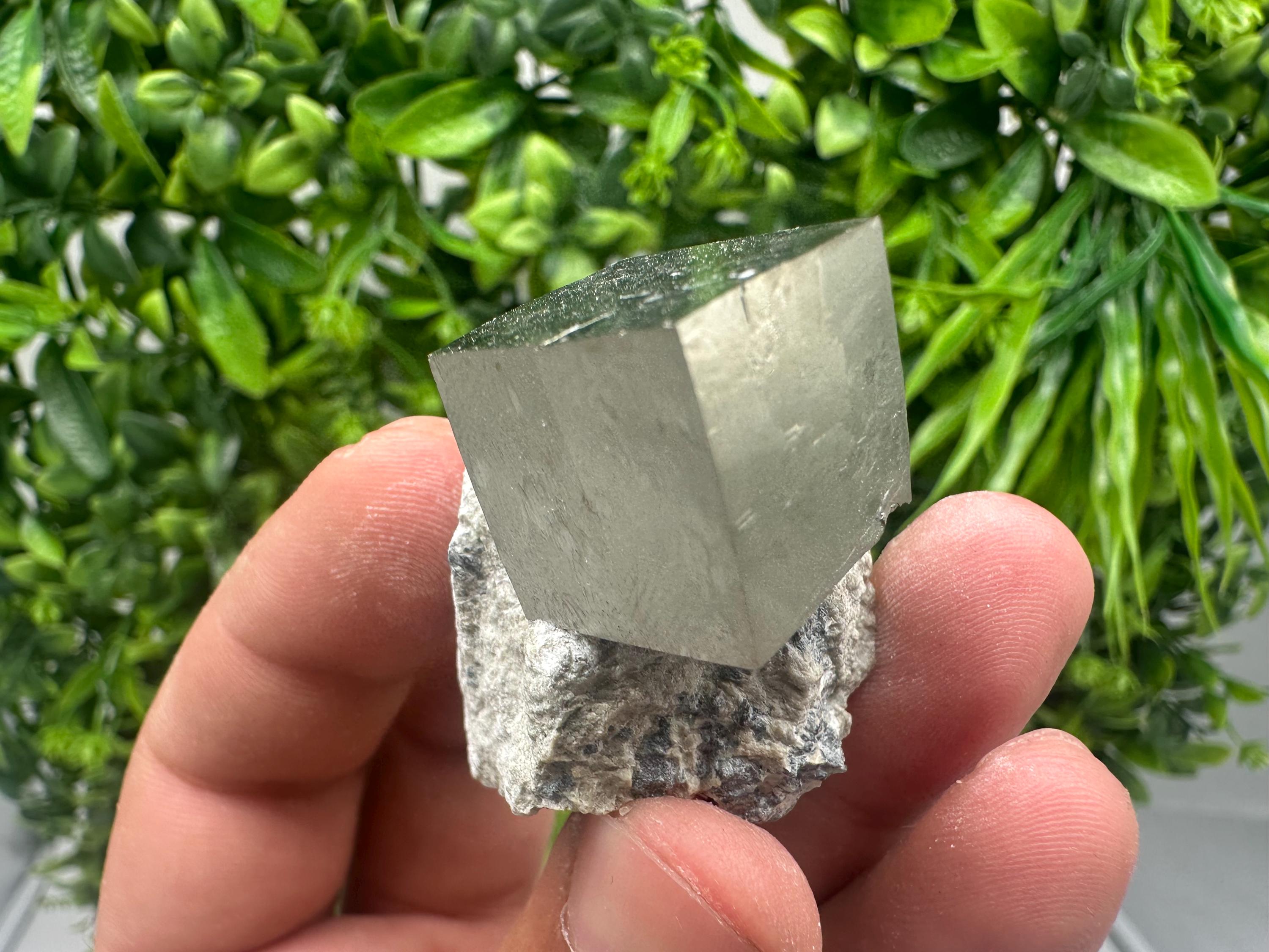 Large Pyrite cubes on Matrix,Gold,Cube PYRITE, Navajun, La Rioja,SPAIN,natural Pyrite shiny Pyrite home decor stone gift minerals,collectibl