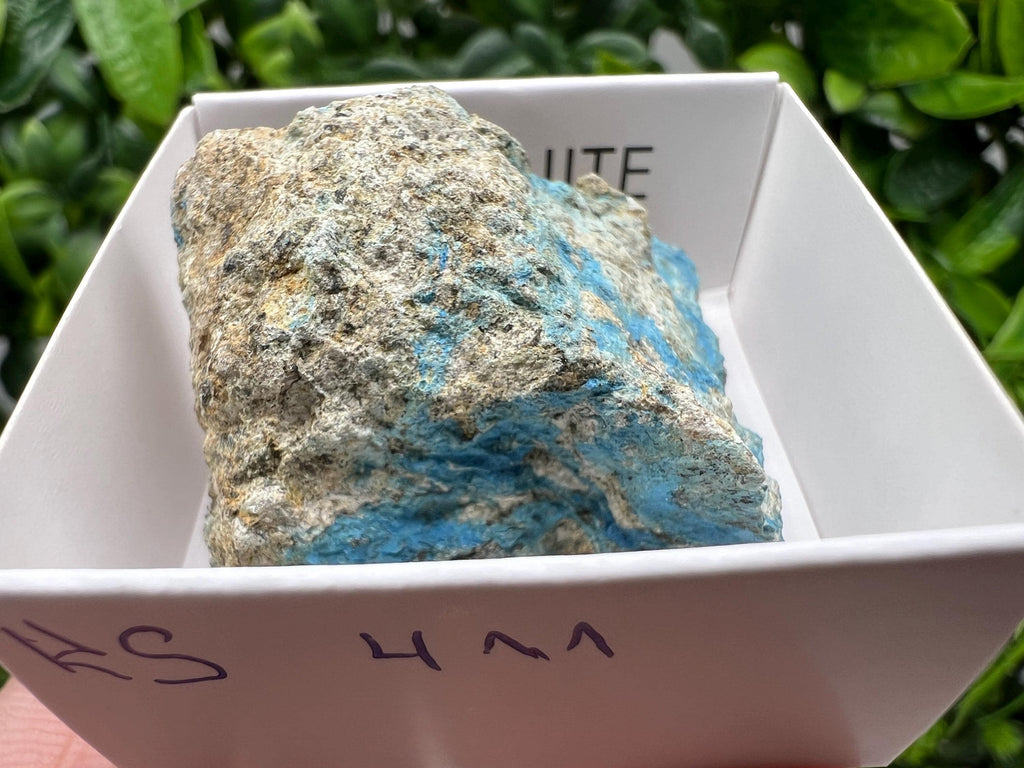 Rare Raw Aerinite Mineral Specimen: Collection Crystal from Lleida, Spain (3.5/3.5cm)
