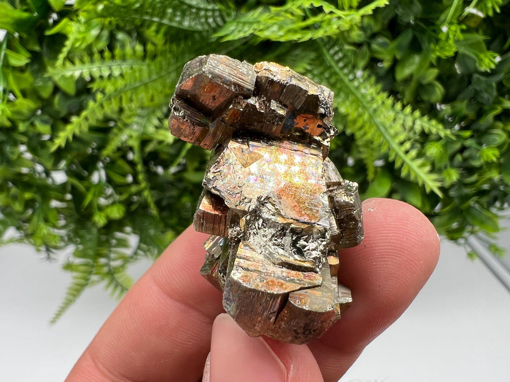 Rainbow Pyrite Hematite Cluster: Borieva Mine, Bulgaria