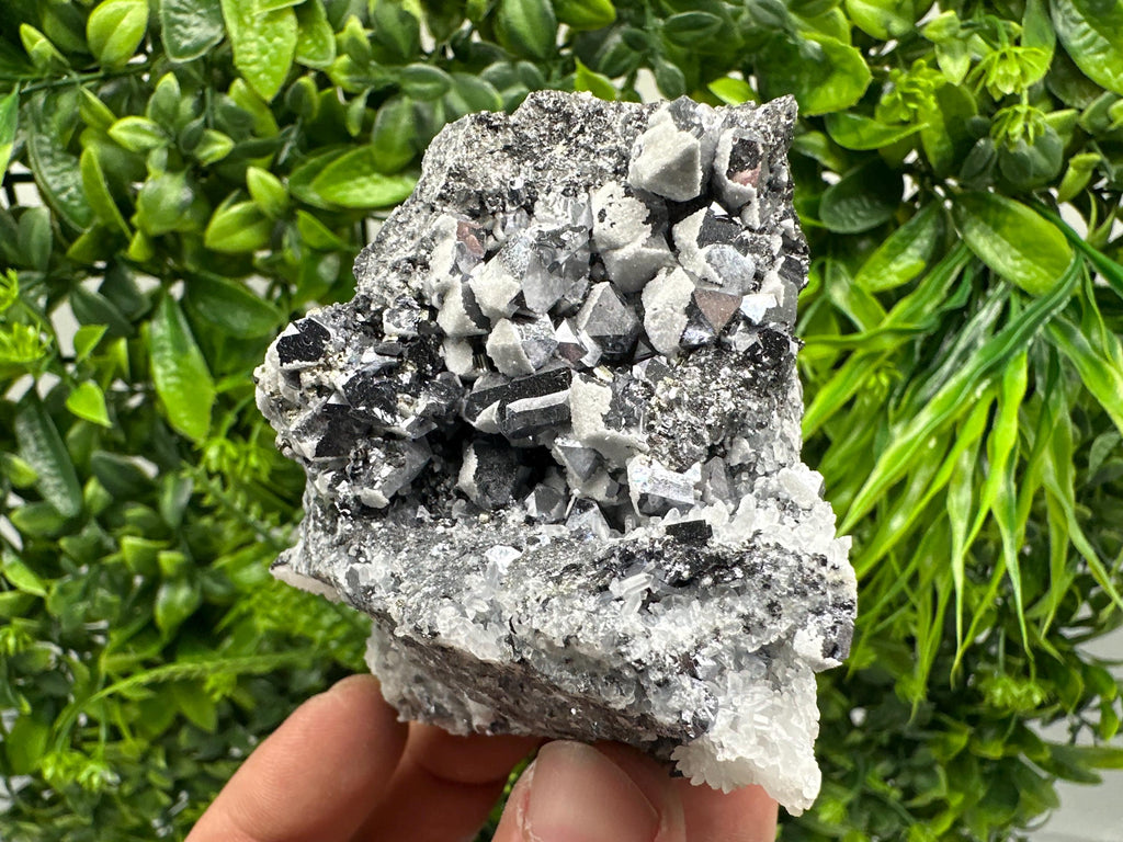 Skeletal Galena Mineral Specimen, Drujba Mine Bulgaria