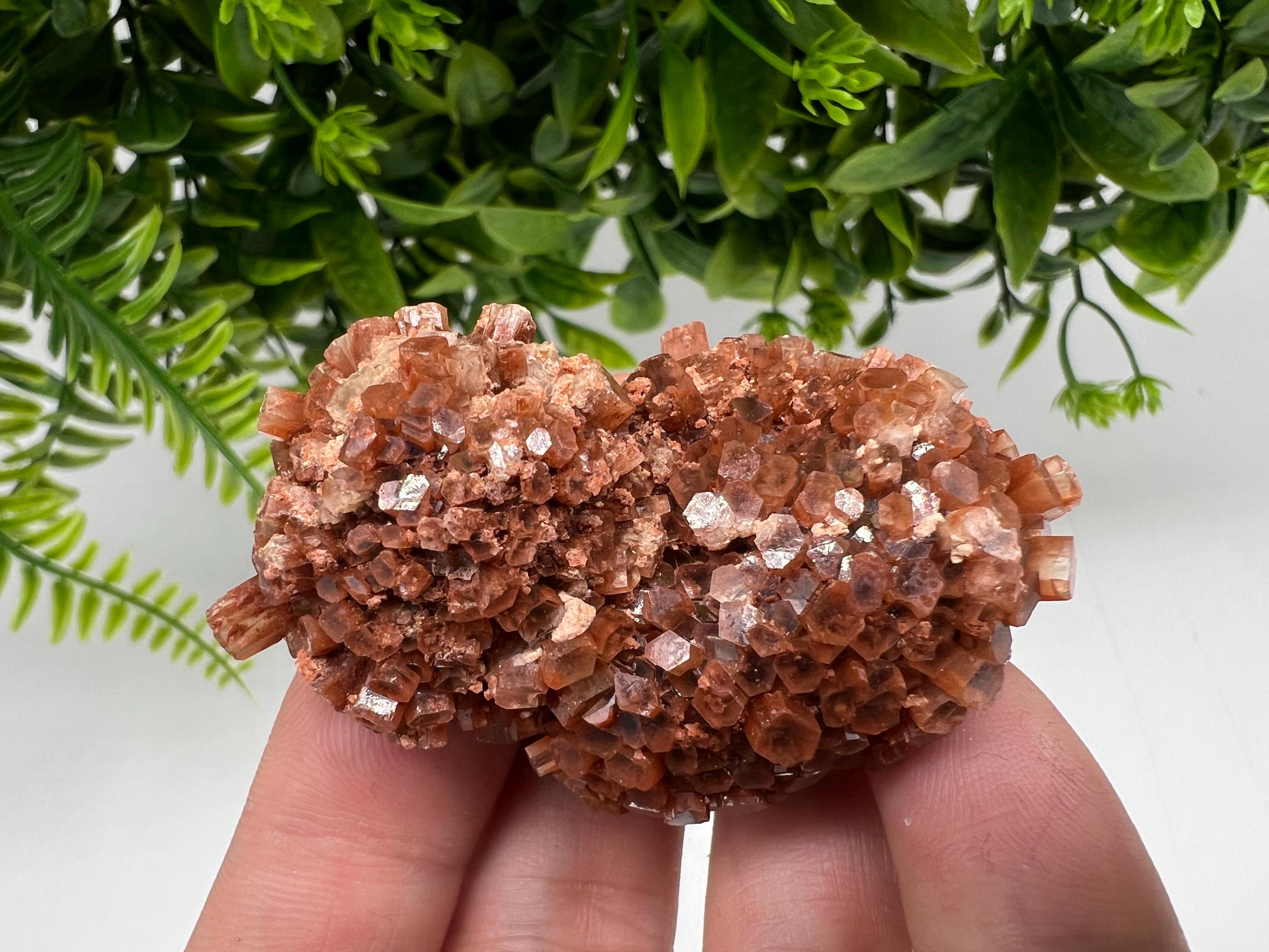 Large Aragonite Sputnik Cluster: Raw Moroccan Crystal Stone