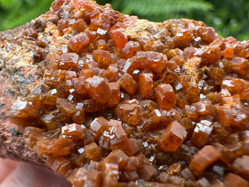 Red Vanadinite on Matrix from Marocco,crystal minerals Speciment cluster Vanadinite crystal Vanadinite Geology Vanadinite cluster minerals