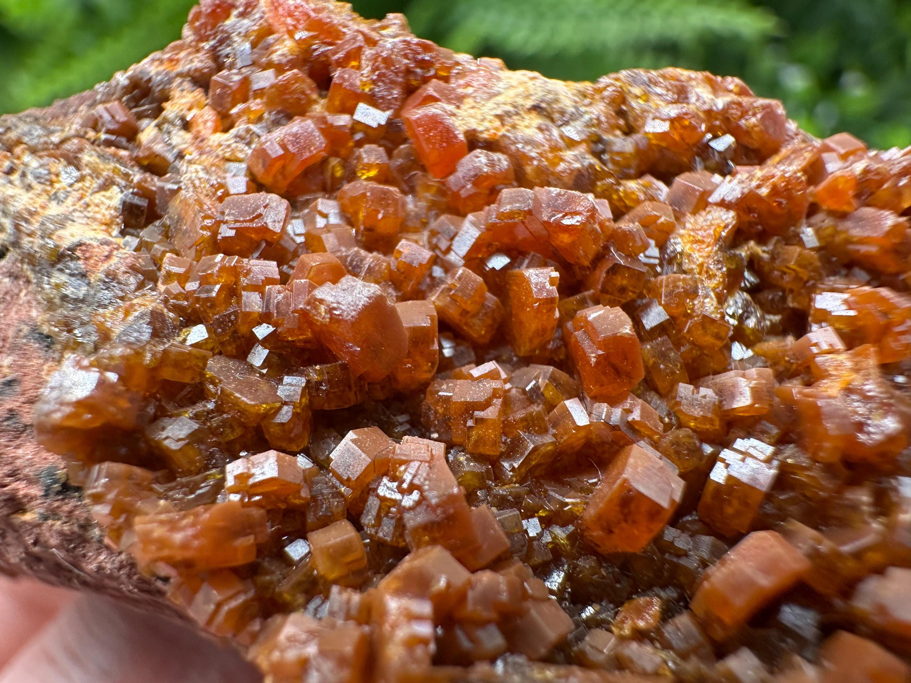 Red Vanadinite on Matrix from Marocco,crystal minerals Speciment cluster Vanadinite crystal Vanadinite Geology Vanadinite cluster minerals
