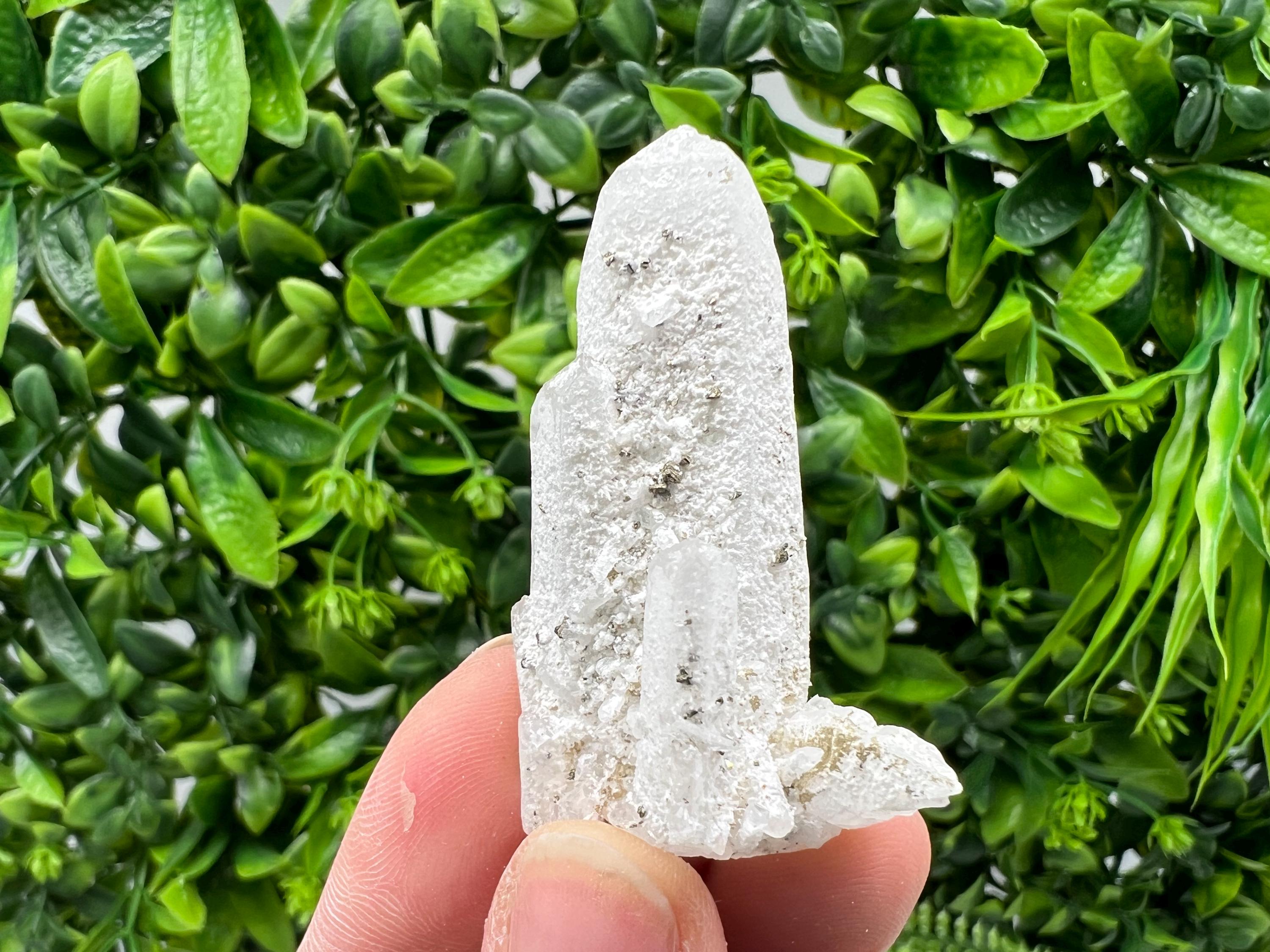 Quartz with Pyrite Crystal: Krushev Dol Mine, Bulgaria