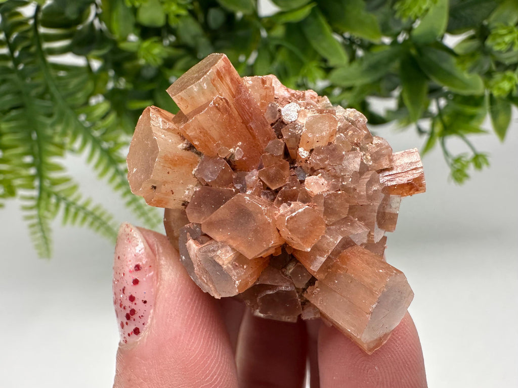 Aragonite Sputnik Cluster: Raw Moroccan Crystal Stone, Home Decor