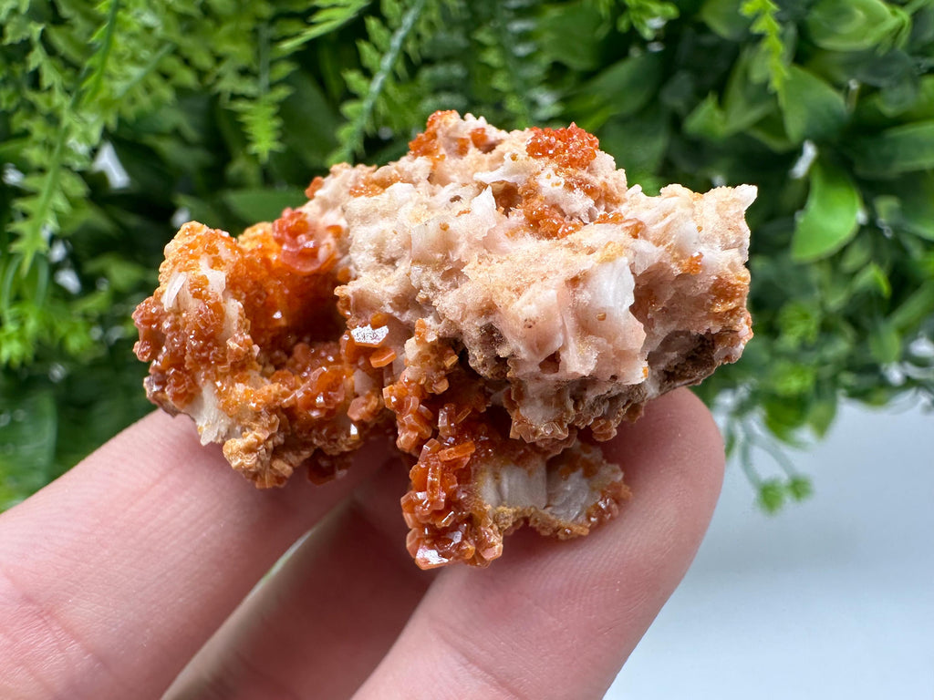 Red Vanadinite on Barite from Marocco,crystal minerals Speciment cluster Vanadinite crystal Vanadinite Geology Vanadinite cluster minerals
