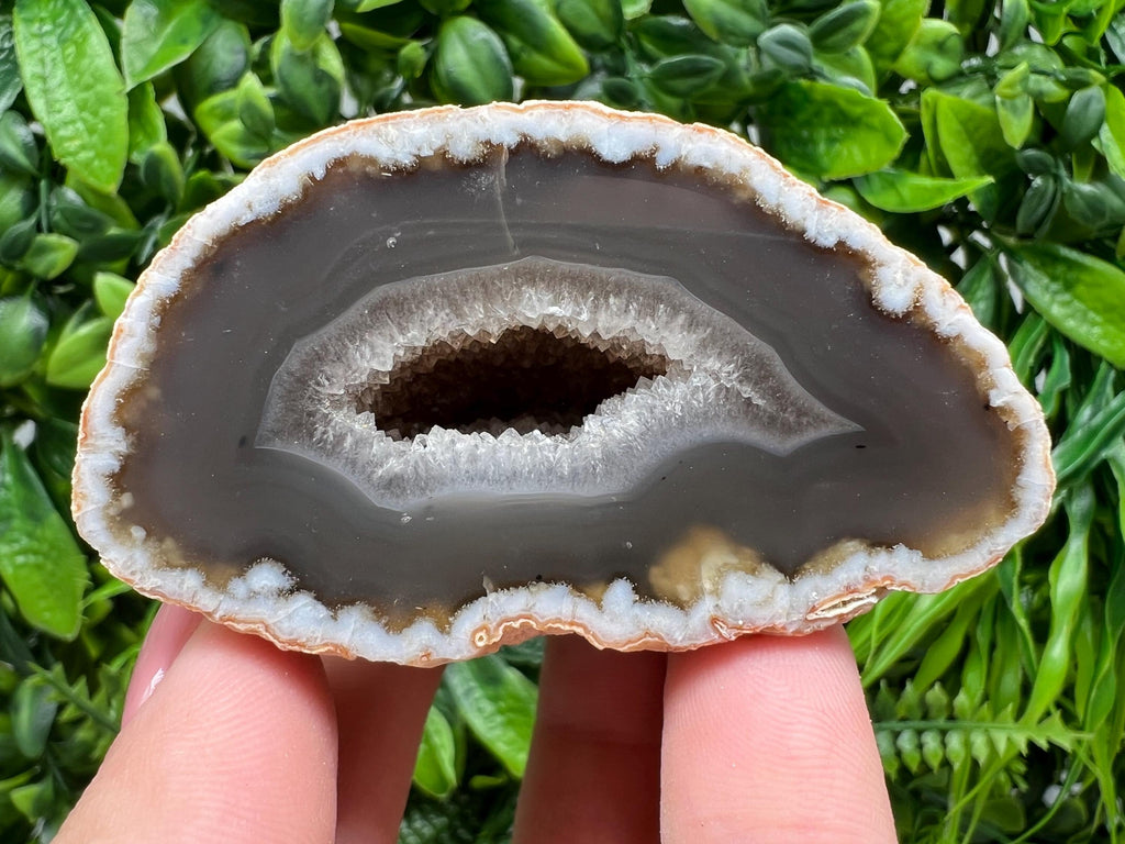 Natural Agate Druzy Geode, Quartz Crystal