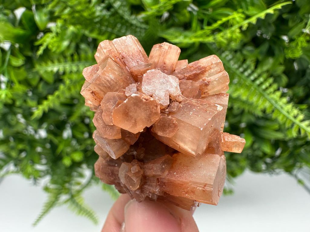 Moroccan Aragonite Sputnik Cluster: Raw Crystal Stone Decor