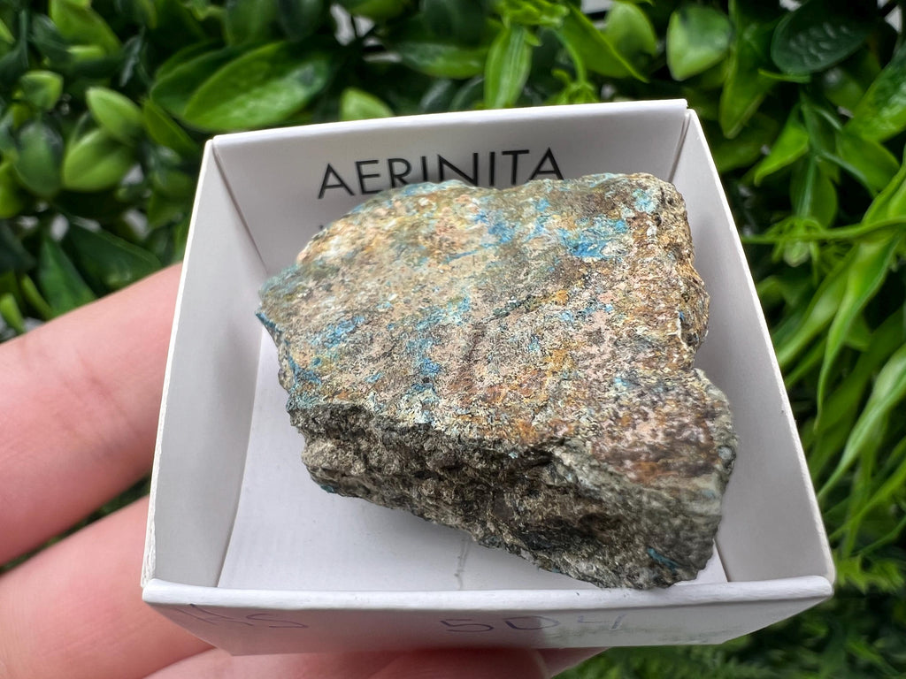 Rare Raw Aerinite Mineral Specimen: Lleida, Spain Collection Crystal